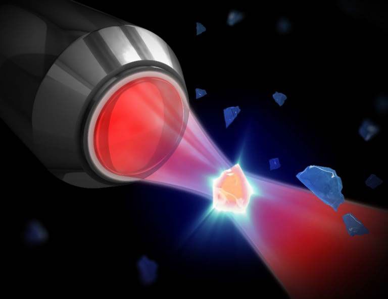 The Quantum Weekly