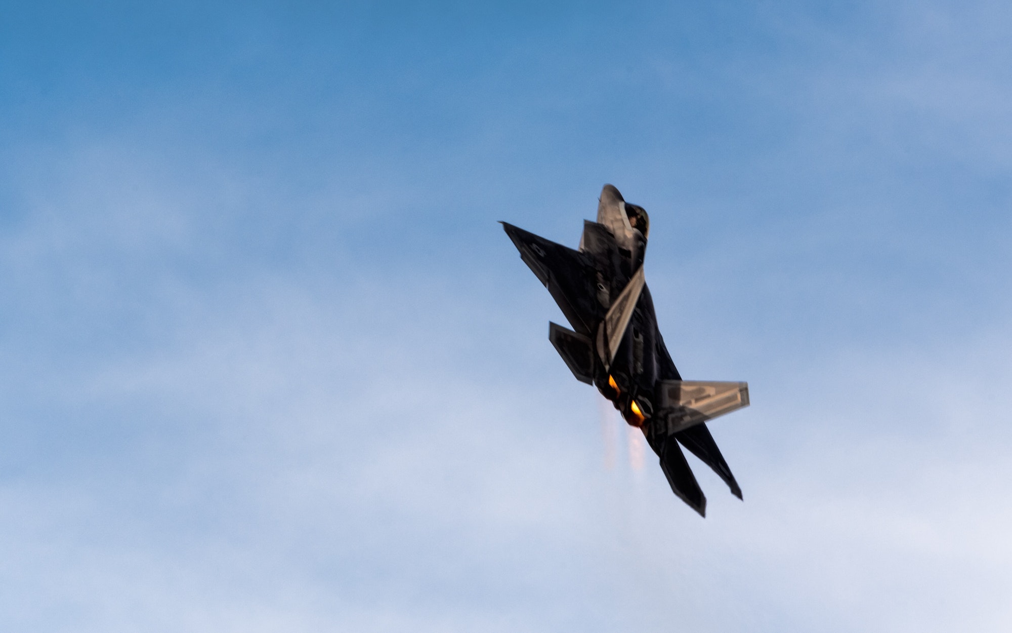 F-22 Raptor