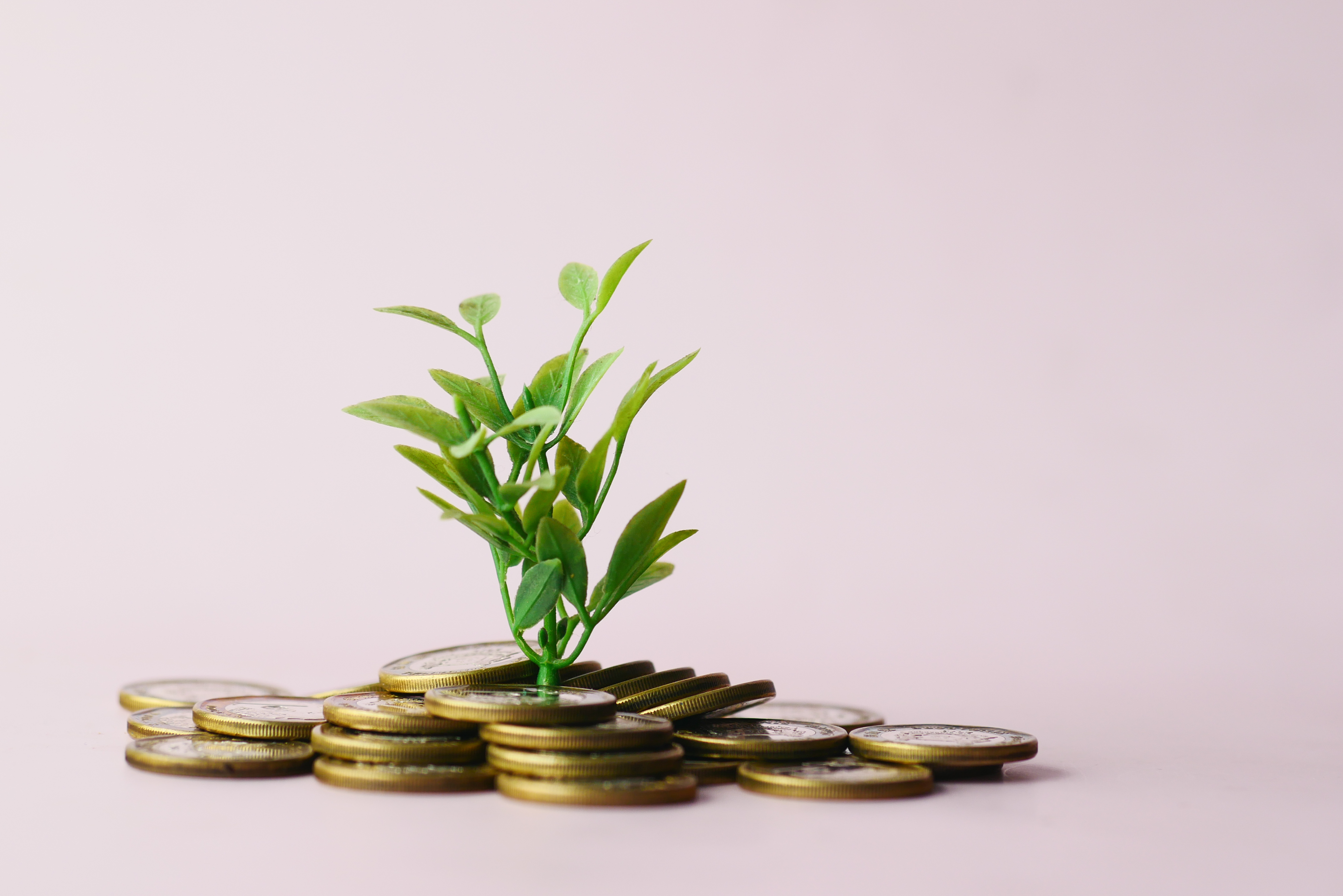 Close up of young plan growing through coins.