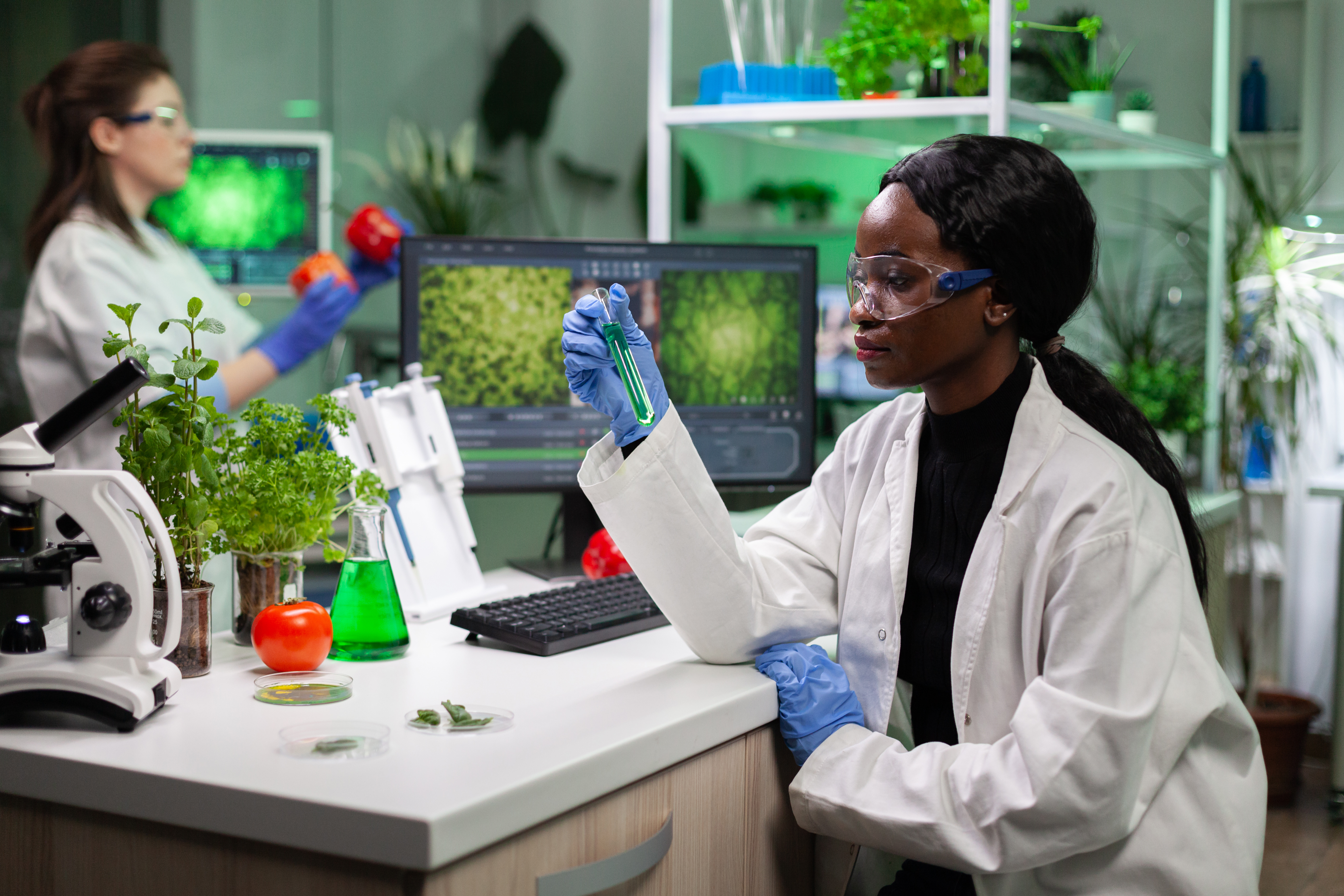 African american chemist researcher holding medical test tube with gmo solution