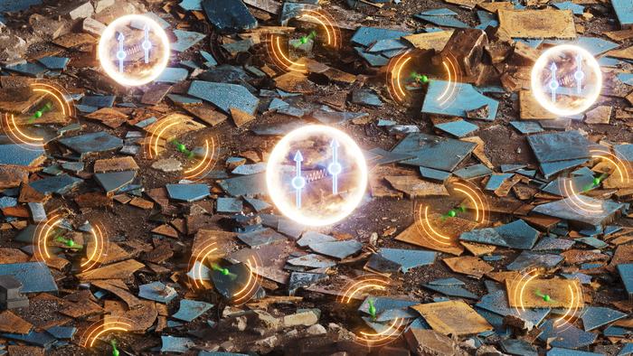 quantum coherence