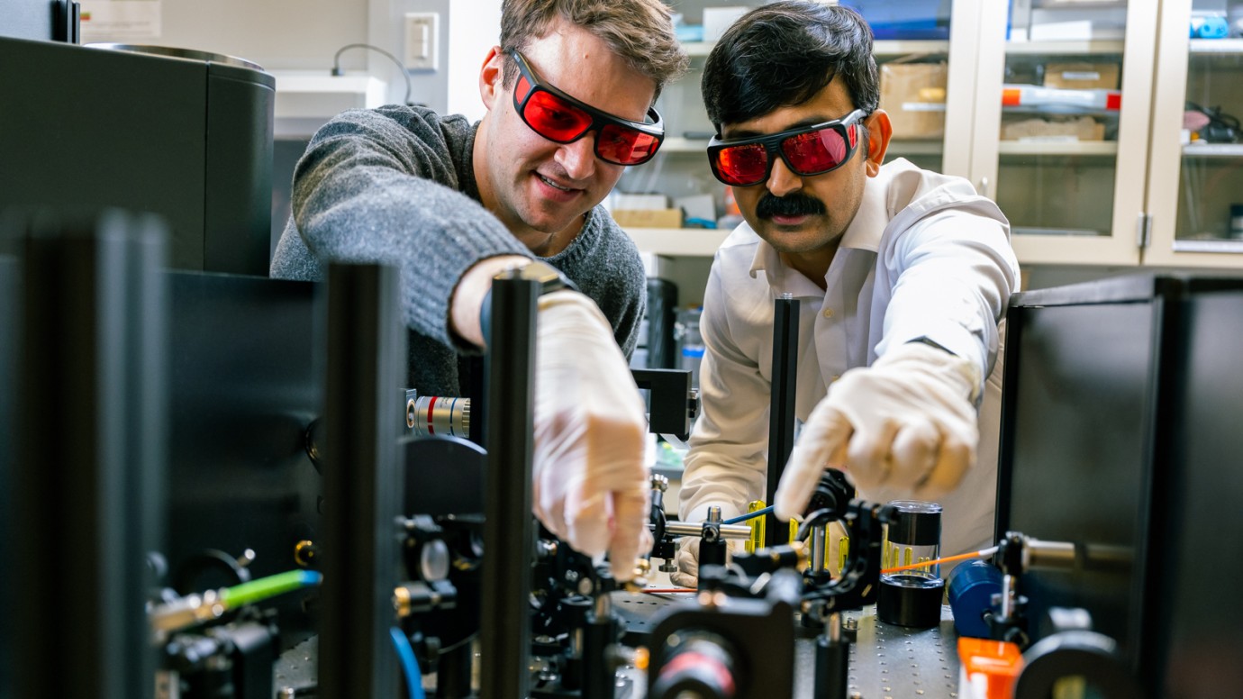 erbium qubits