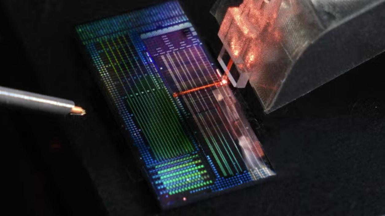 quantum device